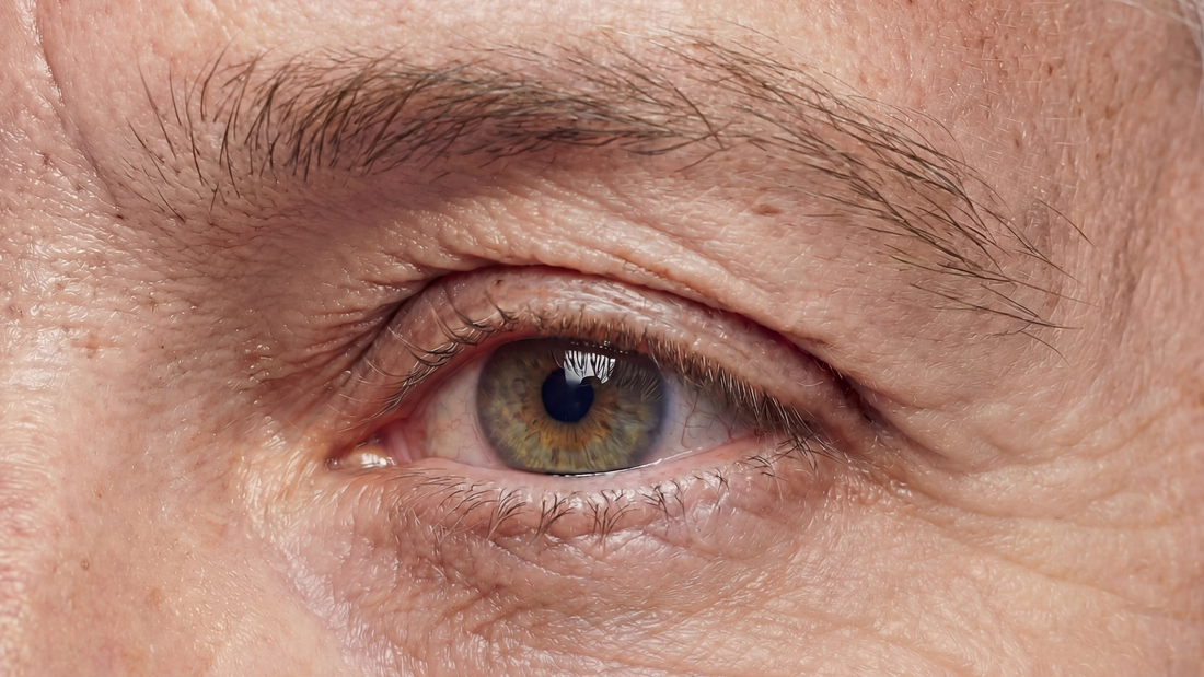 Vieillissement des yeux et DMLA : comment protéger votre vision avec l'âge