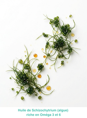 Ophtalmic Hydrofeel Larmes Complément Alimentaire